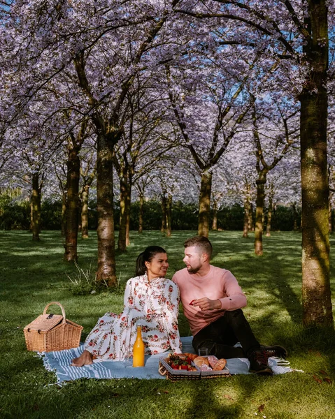 Couple picnic in the park during Spring in Amsterdam Netherlands, blooming cherry blossom tree in Amsterdam, men and woman walk in park forest during Spring