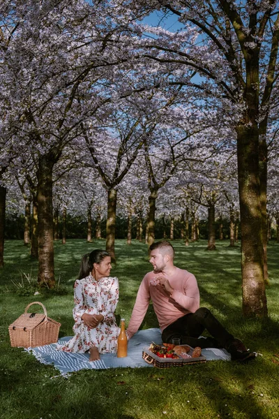 Par picnic i parken i foråret i Amsterdam Holland, blomstrende kirsebær blomstre træ i Amsterdam, mænd og kvinder gå i parken skov i løbet af foråret - Stock-foto