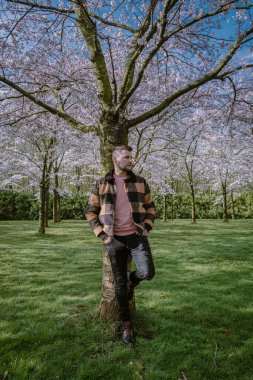 İlkbahar boyunca Hollanda 'da Amsterdam' da halk parkında çiçek açan kiraz ağaçlarıyla yürüyen erkekler