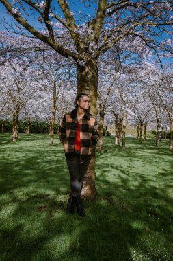 İlkbahar boyunca Hollanda 'da Amsterdam' da halk parkında çiçek açan kiraz ağaçlarıyla yürüyen erkekler