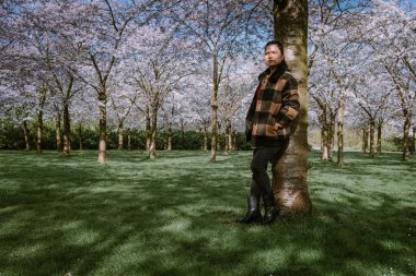 Hollanda 'da çiçek açan kiraz ağacıyla parkta yürüyen bir kız. Bir dişi, bahar boyunca parkta yürümekten zevk alır.