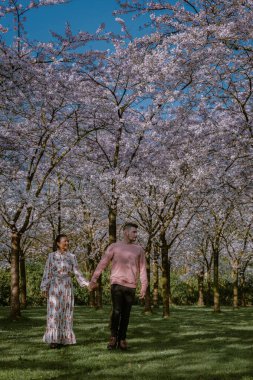 Amsterdam 'da bahar aylarında parkta dinlenen çift, Amsterdam' da çiçek açan kiraz ağacı, erkekler ve kadınlar bahar boyunca parkta yürürler.