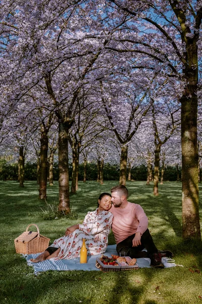 Couple picnic in the park during Spring in Amsterdam Netherlands, blooming cherry blossom tree in Amsterdam, men and woman walk in park forest during Spring