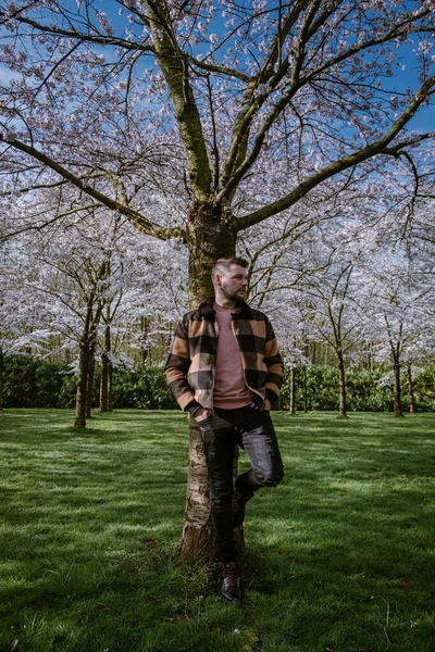 Homens andando no parque público em Amsterdã Holanda durante a primavera com árvores florescentes de cerejeira — Fotografia de Stock