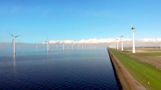 Větrný mlýn řada větrných mlýnů v oceánu u jezera Ijsselmeer Nizozemsko, obnovitelné energie větrný mlýn farma Flevoland — Stock video