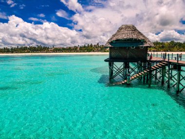 Zanzibar Adası, Zanzibar adasındaki açık yeşil okyanus. 