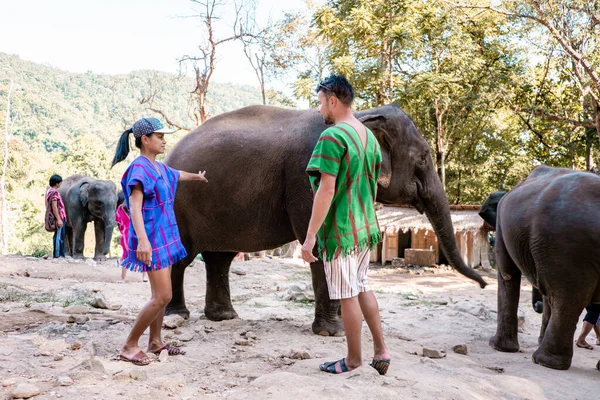 Para mężczyzn i kobiet Słoń w sanktuarium w Chiang Mai Tajlandii, Farma słoni w moutnains dżungli Chiang Mai — Zdjęcie stockowe