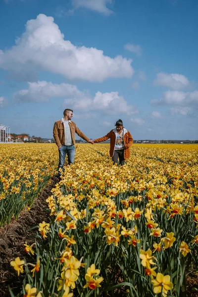 Couple walking in yellow flower bed , men and woman in yellow daffodil flowers during Spring in the Netherlands Lisse — Stock Photo, Image