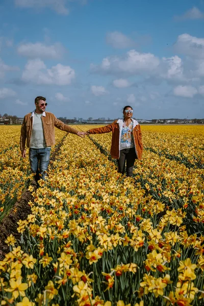 Para spacery w żółty kwiat łóżko, mężczyźni i kobieta w średnim wieku w żółty żonkil kwiaty wiosną w Holandii Lisse — Zdjęcie stockowe