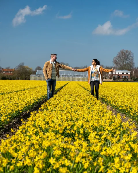 Couple walking in yellow flower bed yellow daffodil flowers during Spring in the Netherlands Lisse — Stock Photo, Image