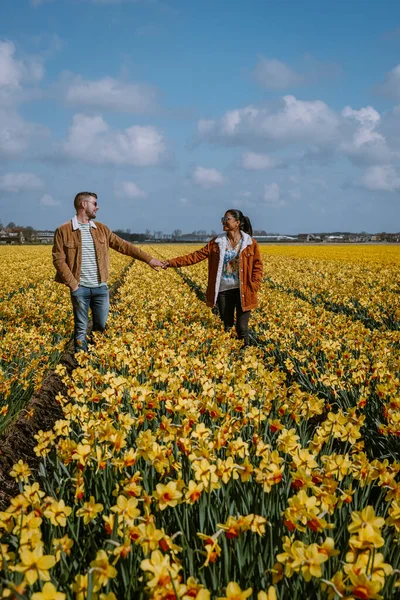 Sarı çiçek tarhında yürüyen çift, Hollanda 'da bahar boyunca sarı nergis çiçekli erkek ve kadın. — Stok fotoğraf