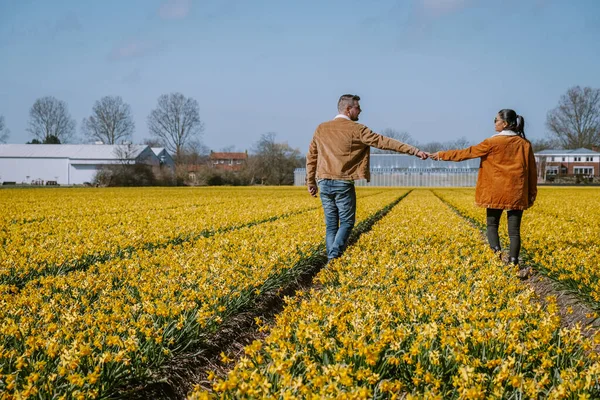 Hollanda Lisse İlkbaharında sarı çiçek tarhında yürüyen çift. — Stok fotoğraf