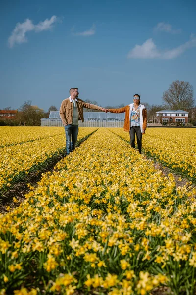 Hollanda Lisse İlkbaharında sarı çiçek tarhında yürüyen çift. — Stok fotoğraf
