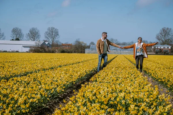 Sarı çiçek tarhında yürüyen çift, Hollanda 'da bahar boyunca sarı nergis çiçekli erkek ve kadın. — Stok fotoğraf