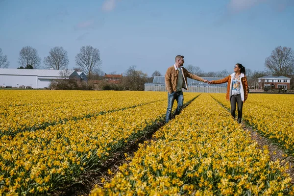 Sarı çiçek tarhında yürüyen çift, Hollanda 'da bahar boyunca sarı nergis çiçekli erkek ve kadın. — Stok fotoğraf