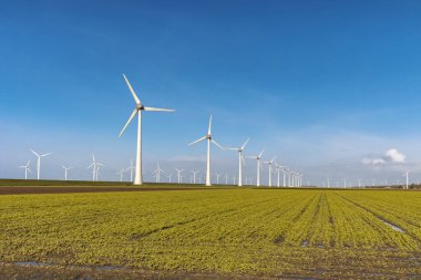 Hava manzaralı rüzgar türbini, rüzgar parkının batı kanadındaki drone manzarası IJsselmeer gölündeki yel değirmeni çiftliği Hollanda 'nın en büyüğü, sürdürülebilir kalkınma, yenilenebilir enerji
