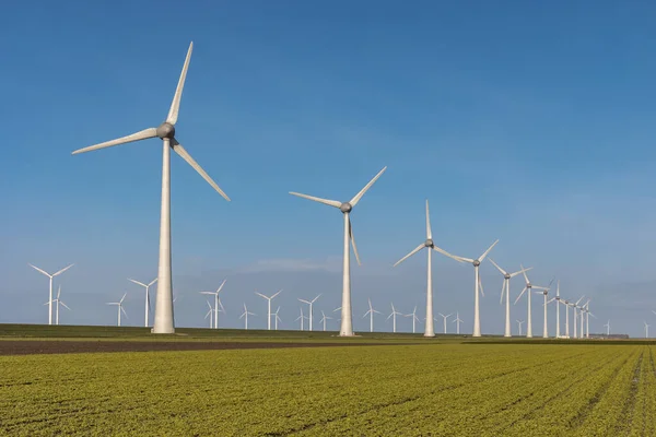 Вітряна турбіна з повітря, вид Дроне на вітряний парк Вестермердейк вітряна ферма в озері Айсселмер найбільший в Нідерландах, сталий розвиток, відновлювана енергія — стокове фото
