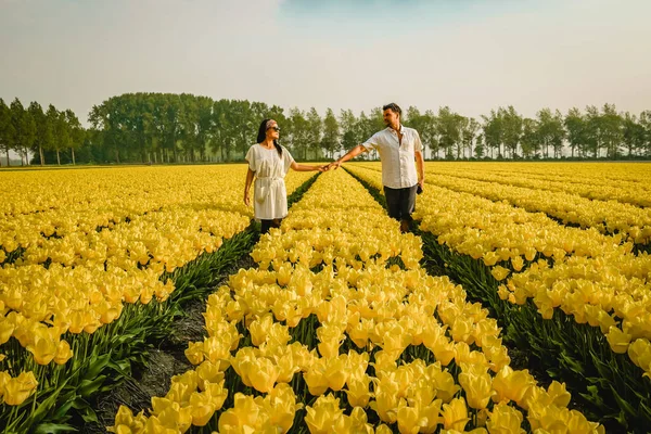 Dutch tulip field, drone view of yellowe tulips field Paesi Bassi, felice giovane coppia uomo e donna in campo floreale — Foto Stock