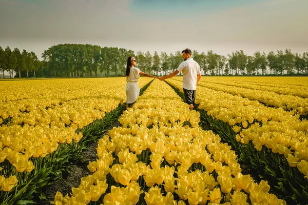 Holländisches Tulpenfeld, Drohnenblick auf gelbes Tulpenfeld Niederlande, glückliches junges Paar Mann und Frau im Blumenfeld — Stockfoto