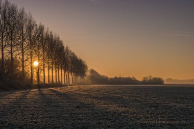 Hollanda 'daki soğuk kış manzarası bir yol ve Flevoland Noordoostpolder Hollanda' da kış boyunca çayırlarda tarım.