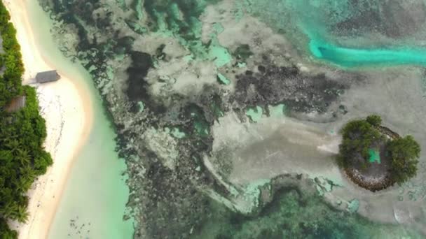 La Digue Seychellen, zonsondergang op het witte tropische strand met palmbomen, uitzicht op de drone vanuit de lucht op het strand van bovenaf, uitzicht op de drone van bovenaf op het strand van de Seychellen — Stockvideo