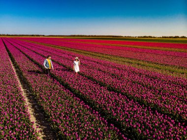 Hollanda lale tarlası, çiçek tarlasında bir çift, Hollanda lale tarlasında elbiseli ve yaz şapkalı bir kadın, pembe çiçek tarlasında mutlu bir genç kadın.