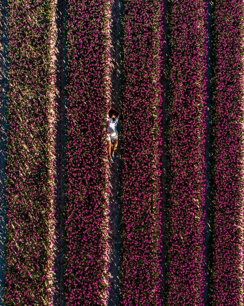 オランダチューリップ畑,チューリップ畑でドレスや夏の帽子を持つ女性オランダ,ピンクの花のフィールドで幸せな若い女性 — ストック写真