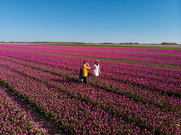 Hollanda lale tarlası, çiçek tarlasında bir çift, Hollanda lale tarlasında elbiseli ve yaz şapkalı bir kadın, pembe çiçek tarlasında mutlu bir genç kadın. — Stok fotoğraf