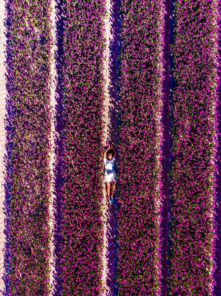 オランダチューリップ畑,チューリップ畑でドレスや夏の帽子を持つ女性オランダ,ピンクの花のフィールドで幸せな若い女性 — ストック写真