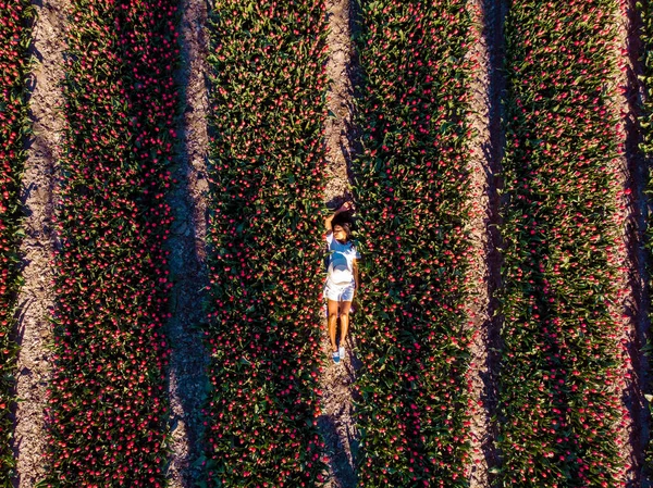 Holandské tulipán pole, žena v šatech a letní klobouk v tulipánech pole Holandsko, šťastná mladá žena v růžové květinové pole — Stock fotografie