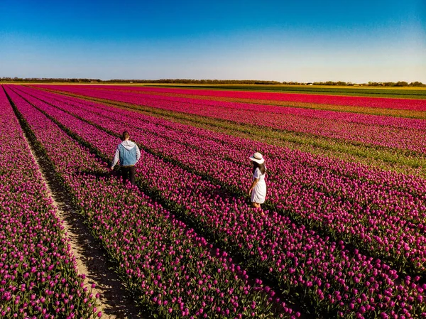 Campo de tulipanes holandés, pareja en el campo de flores, mujer con vestido y sombrero de verano en el campo de tulipanes Países Bajos, mujer joven feliz en el campo de flores rosa — Foto de Stock