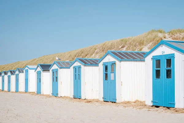 Texel Island Netherlands, blue white beach hut on the beach με φόντο τους αμμόλοφους του Texel Holland, καμπίνα στην παραλία — Φωτογραφία Αρχείου