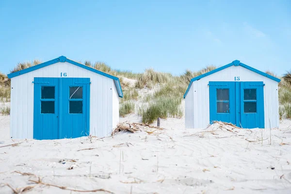 Texel Island Netherlands, blue white beach hut on the beach με φόντο τους αμμόλοφους του Texel Holland, καμπίνα στην παραλία — Φωτογραφία Αρχείου