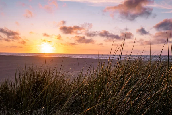 Vuurtoren Texel bij zonsondergang Nederlands eiland Texel — Stockfoto