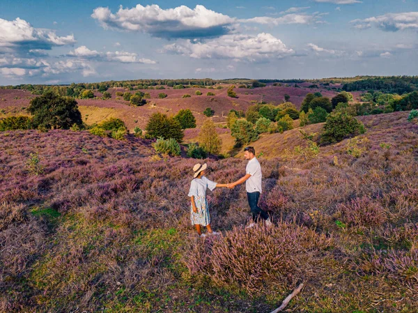 Couple walking in the meadows, Posbank national park Veluwezoom, blooming Heather fields during Sunrise at the Veluwe in the Netherlands, purple hills of the Posbank — Stock Photo, Image