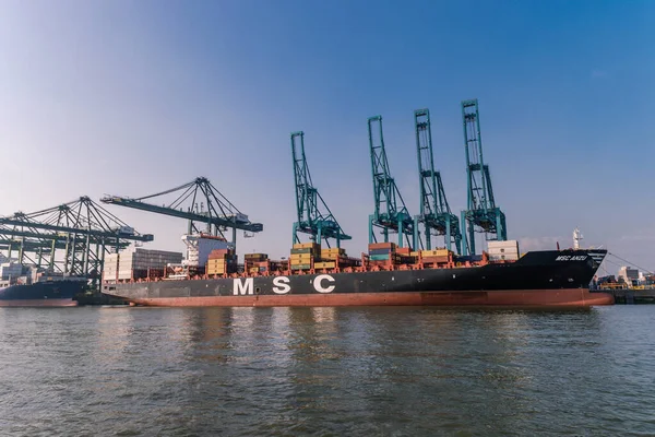 Antwerpen België augustus 2019, haven van Antwerpen met containerschip en olieraffine en tanks — Stockfoto