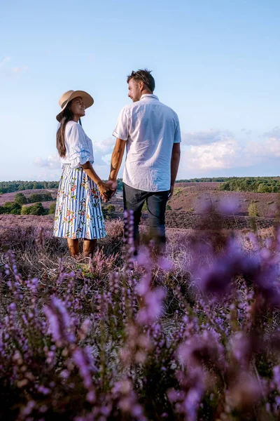 Couple marchant dans les prairies, parc national de Posbank Veluwezoom, champs de bruyère en fleurs pendant le lever du soleil au Veluwe aux Pays-Bas, collines violettes de la Posbank — Photo