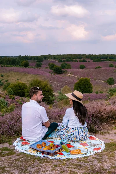 Casal andando nos prados, Posbank parque nacional Veluwezoom, florescendo campos de Heather durante o nascer do sol no Veluwe, na Holanda, colinas roxas do Posbank — Fotografia de Stock