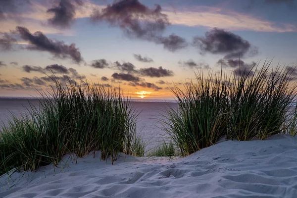 Texel lighthouse during sunset Netherlands Dutch Island Texel