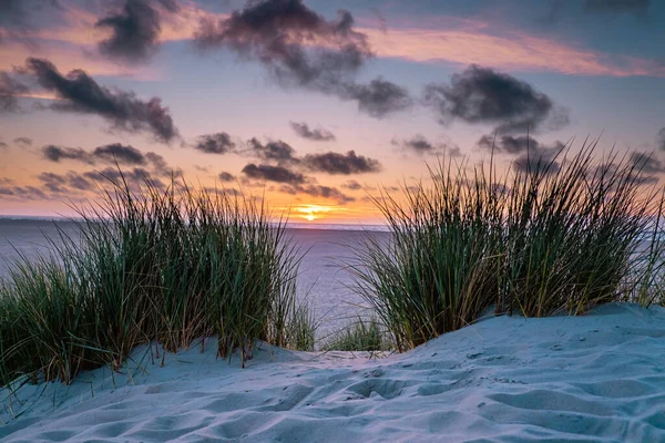 Texel latarnia morska podczas zachodu słońca Holandia Dutch Island Texel — Zdjęcie stockowe