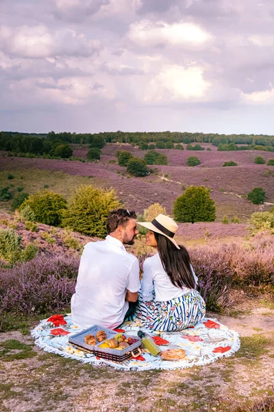 Paar auf den Wiesen, Posbank Nationalpark Veluwezoom, blühende Heidefelder bei Sonnenaufgang an der Veluwe in den Niederlanden, violette Hügel der Posbank — Stockfoto