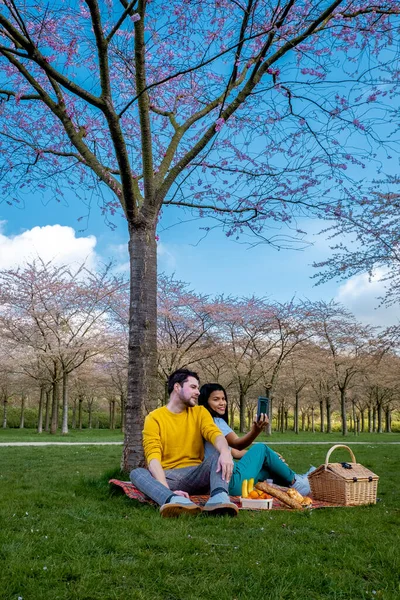 Paarpicknick im Amsterdamer Wald zum Frühlingsanfang in den Niederlanden — Stockfoto