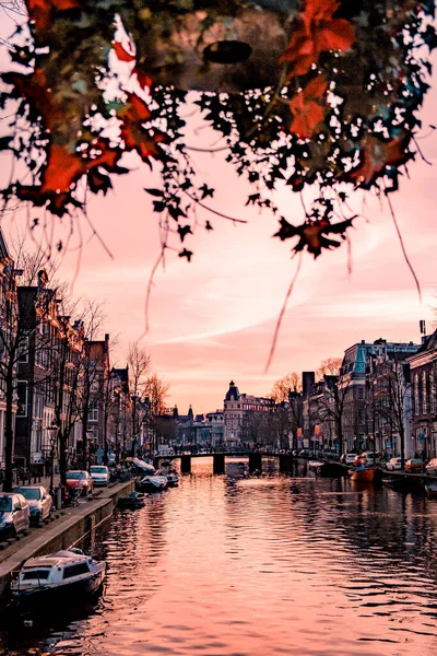 Amsterdam Holandia Piękny kanał Groenburgwal w Amsterdamie z kościołem Soutern Zuiderkerk o zachodzie słońca — Zdjęcie stockowe