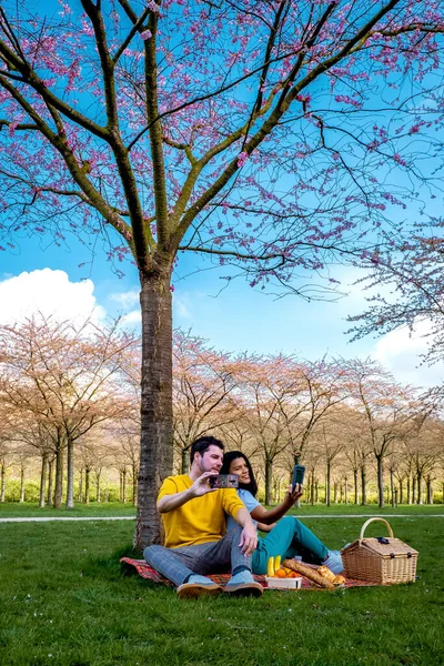 Paarpicknick im Amsterdamer Wald zum Frühlingsanfang in den Niederlanden — Stockfoto