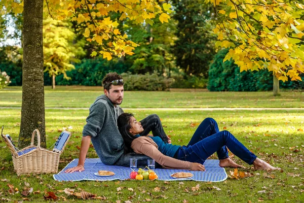 Outono nas terras baixas no parque nacional de Veluwe, piquenique de par abaixo de uma árvore durante a estação de outono com folhas amarelas cor-de-laranja — Fotografia de Stock