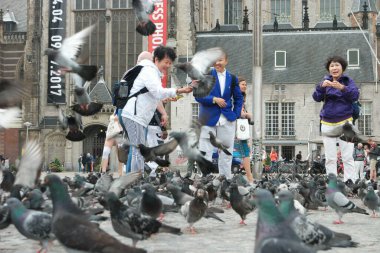 Amsterdam Ekim 2018, Çinliler yaz boyunca Hollanda 'nın Amsterdam şehrinde Baraj Squre' de kuşları besliyor.