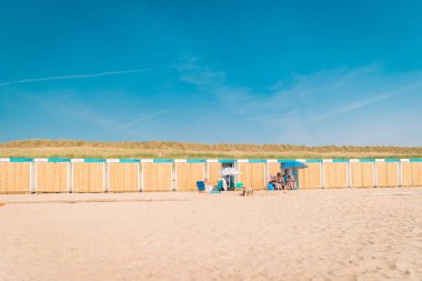 Bergen aan Zee Netherlands plajı Bergen Sahili 'nde mavi beyaz bir sahil kulübesi var.