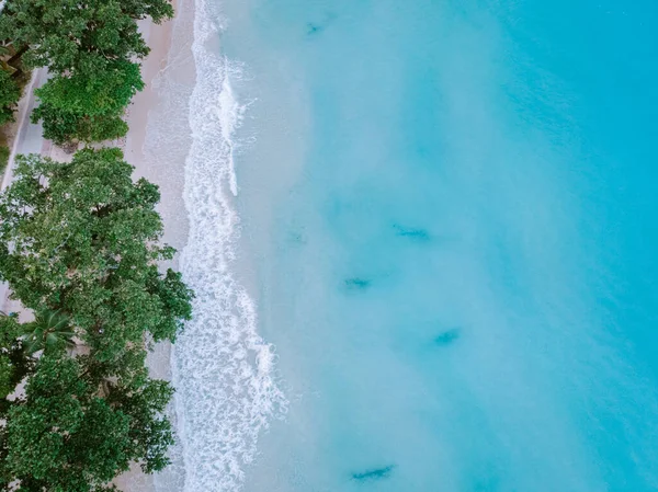 Seszele Tropikalna Wyspa Praslin z białą plażą i tropikalnymi palmami, Dron z lotu ptaka z widokiem na Seszele — Zdjęcie stockowe