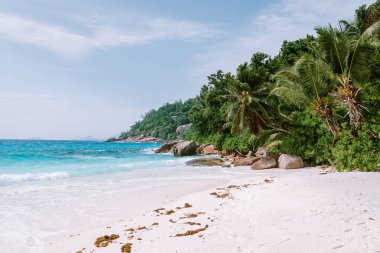 Seyşeller Tropikal Adası Praslin, beyaz plaj ve tropikal palmiye ağaçları, Seyşeller üzerinde insansız hava aracı manzarası