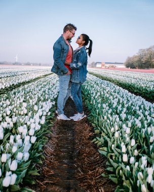 Hollanda Noordoostpolder Avrupa 'da günbatımında lale çiçeği tarlası, Hollanda' da çiçek tarlasında poz veren mutlu erkek ve kadın çifti